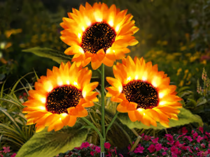 🔥Last Day Sale 49% OFF🔥 - 🌞Solar LED Sunflower Garden Lights🌻