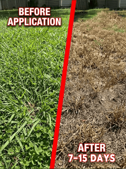 Flash Sale⚡ 50K+ SOLD! Almost Gone-🔥Herbicide and root rot control agent🪴